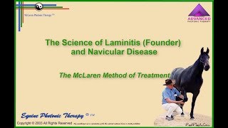 Laminitis and Navicular Syndrome [upl. by Belmonte]