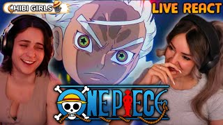 S HAWK IS GOING CRAZY  One Piece Episode 1109 Live React [upl. by Warrick]