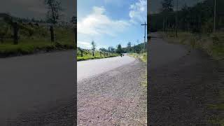 O clássico 🔥 shorts short skateboarding longboard longboarding viral fun fyp fy ytshorts [upl. by Valora]