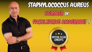 Staphylococcus Aureus  Aerobic or Facultative Anaerobic Bacteria [upl. by Priscilla]