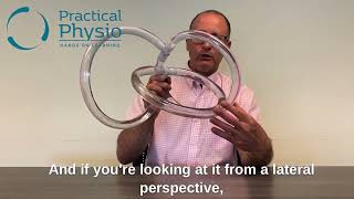 Anatomy and Orientation of the Semicircular Canals [upl. by Avie]