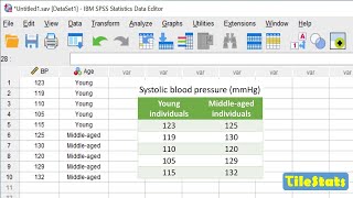 SPSS for beginners in 22 minutes  enter data plot and ttest [upl. by Laszlo853]