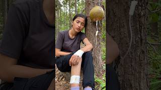 Bushcraft Skills Survival Coconut Hacks survival bushcraft outdoors camping shorts forest [upl. by Nainatrad]