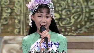 卓依婷 Timi Zhuo 太平年 高清中国DVD国语版 [upl. by Rudich873]