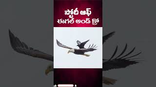 Eagle And Crow Story ll Telugu Facts ll TOT FACTS [upl. by Nohsed837]