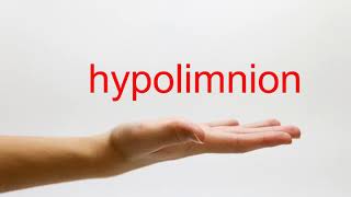 How to Pronounce hypolimnion  American English [upl. by Elfrida]