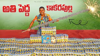 Biggest Diwali Sparkler Testing 🔥🔥 అతి పెద్ద కాకరపుల్ల కాల్చాము😱😱Testing Diwali Stash 2023 [upl. by Joris]