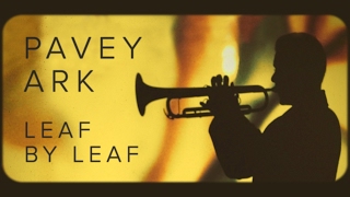 Pavey Ark  Leaf by Leaf Official Music Video [upl. by Odravde]