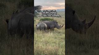 That RHINO is way to FUNNY 😆 shorts travel wildlife funny kenya safari funnyanimals [upl. by Ariet]