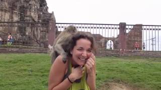 Monkey attack in Lopburi Thailand [upl. by Dimond]