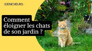 🐈 Une bouteille d’eau pour faire fuir les chats dans le jardin  Efficace ou pas 🌼 [upl. by Satterfield]