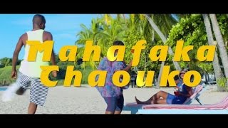 Wawa Salegy  Mahafaka Chaouko  clip officiel [upl. by Dillie]