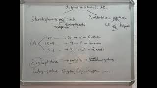 NEET PG 10 mnemonics to make MCQ easy Part 2 [upl. by Dorkus889]