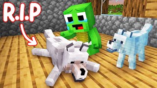 RIP Baby Mikey DOG  Sad Ending  Maizen Minecraft Animation [upl. by Aunson]