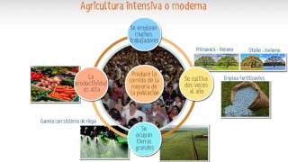 Agricultura [upl. by Elinet]