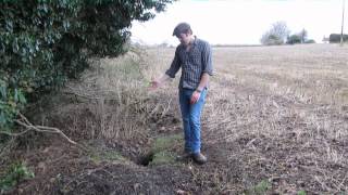 Identifying Badger Setts [upl. by Mchugh]