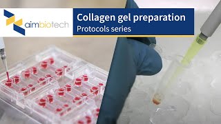 IdentX – Collagen Gel Preparation Protocol [upl. by Irot]