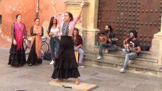 Flamenco dance 1 in Granada 2015 [upl. by Ennayhc960]