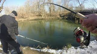 Insane Shore Fishing Action for Spring COHO SALMON Lake Michigan 2020 [upl. by Ynatil971]