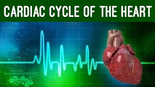 A level Biology Revision quotThe Cardiac Cyclequot [upl. by Hooke]