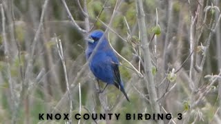 Knox County Birding 3 [upl. by Laurette902]