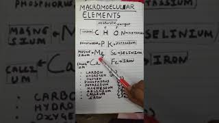 Simple mnemonic for memorising macromolecular elements [upl. by Siriso821]