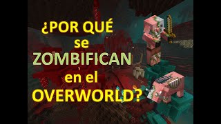 ¿Por qué el Piglin y Hoglin se ZOMBIFICAN en el Overworld y en el END ORIGEN y Miedo de los PIGLINS [upl. by Nodyarg]