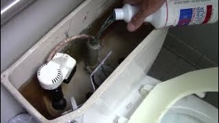 Slow Flushing Toilet Quick and Inexpensive Cure With Delimer [upl. by Olga]