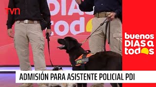 Comienza proceso de admisión para asistente policial PDI  Buenos días a todos [upl. by Chandra534]