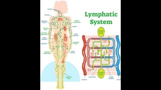 EAT FRUITS AND HEAL  Toxins Removal5 Ways to Move our Lymph amp prevent Lymphatic stagnation [upl. by Seline]