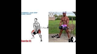 Dumbbell bar grip sumo squat [upl. by Kristy158]