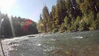 Hoh River Summer Steelhead [upl. by Tram]