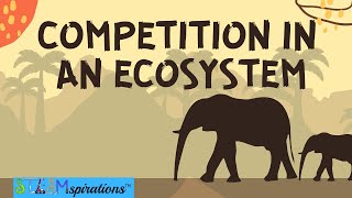 Competition in an Ecosystem Mutualism Intraspecific Interspecific Relationships [upl. by Sena141]