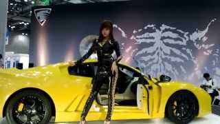 Hwang Mi Hee The Queen of Seoul Motor Show 2013 [upl. by Yearwood]