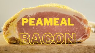 HOMEMADE PEAMEAL BACON  HOW TO MAKE PEAMEAL BACON [upl. by Ierdna]