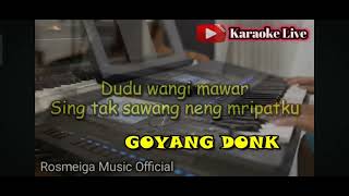 Pamer Bojo  Karaoke  Nada Pria Ckowok  Disco Music  Didi Kempot  Andio HQ [upl. by Clute208]