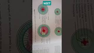 ANATOMY OF FLOWERING PLANTS Different stages of the secondary growth in a typical dicot root neet [upl. by Milena]