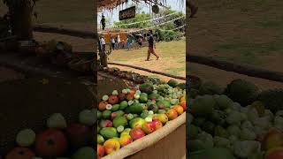 Farmers Market with rich local fruits as part of Mango Festival 2023 at Sanctity Ferme 1 Farms [upl. by Burnard564]