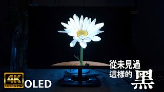 從未見過這樣的黑！Philips 27E1N8900 OLED 4K 顯示器｜DisplayHDR 400 TrueBlack｜107億顏色｜99 DCIP3廣東話 cc字幕 [upl. by Moberg922]