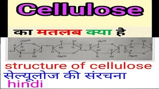 Structure of Cellulose [upl. by Kathlin]