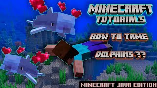 How to Make a Paper Dolphin Easy  Origami Dolphin Tutorial [upl. by Ellon510]