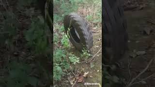 Tire rolling down hill tire [upl. by Eiliak]