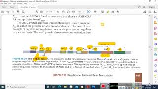 ARABINOSE OPERON in Malayalam [upl. by Moir]