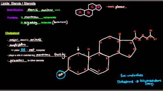 Lipids Part 11 of 11  Sterols  Steroids [upl. by Ardnekal532]