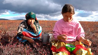 Life In Tundra in FAR NORTH How people live in Russia amp Yamal Nomads Nenets [upl. by Martino]