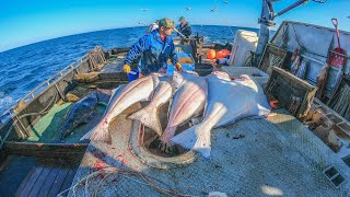 Coastal Halibut Fishing In 2023 Hauling In The Gear And Catching Big Fish [upl. by Nedap]