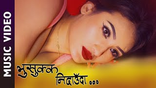 Bhusukka Nidauadaa  New Nepali Song  Nisha Deshar  Latest Nepali Song 2020 [upl. by Rafael]