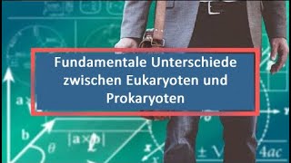 Fundamentale Unterschiede zwischen Eukaryoten und Prokaryoten [upl. by Tiffa179]