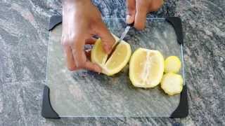 How to Grow a Lemon Tree from Seed [upl. by Cherilyn]