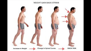 The Link Between Waist Size Inflammation and Back Pain [upl. by Jarvis]